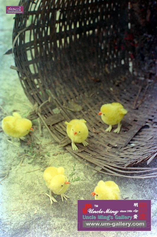 複製 -DSCN4560.JPG